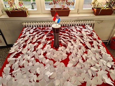 /Slike/A/2025/11/Sipina 8.jpg